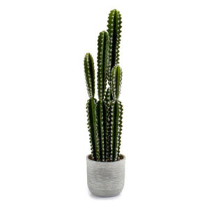cactus cactus en plastique 17 x 80 x 17 cm- Dakar Sénégal