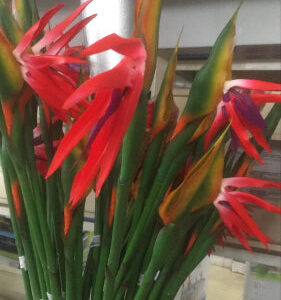 fleur artificielle oiseau du paradis rouge 80cm. LIVRAISON DAKAR - SENEGAL