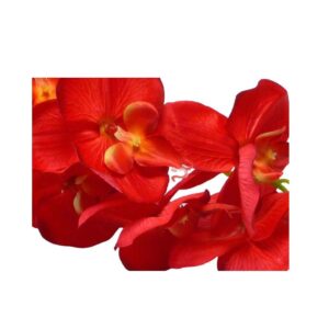 fleur artificielle orchidee 12boutons rouge. LIVRAISON DAKAR - SENEGAL