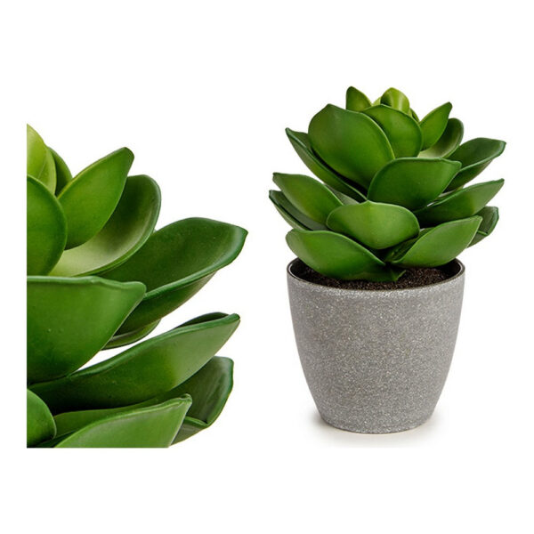 plante deco gris vert plastique 16 x 20 x 16 cm- Dakar Sénégal
