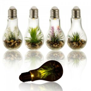 plante decorative dans ampoule lumineuse a led11x23cm. LIVRAISON DAKAR - SENEGAL