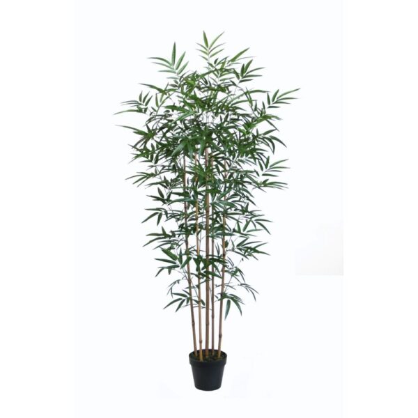 plante decorative dkd home decor pvc 75 x 70 x 155 cm- Dakar Sénégal