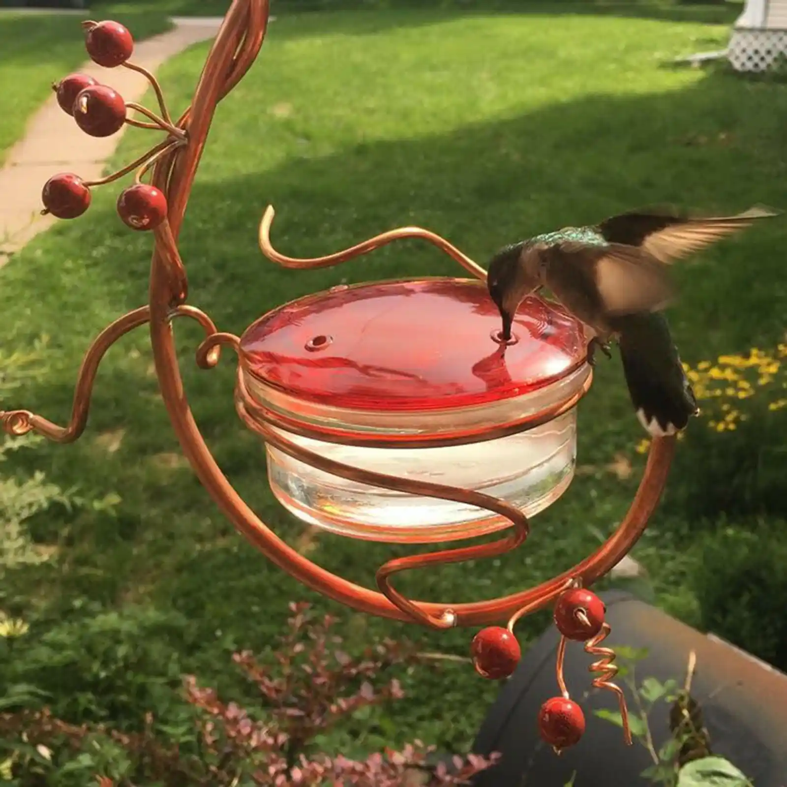 Mangeoire à oiseaux de jardin pour colibris facile nettoyer pont décor -  SENEGAL ELECTROMENAGER