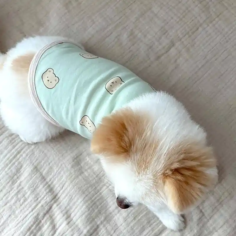 Robe d'été pour petit chien, vêtements pour petits chiens, chats