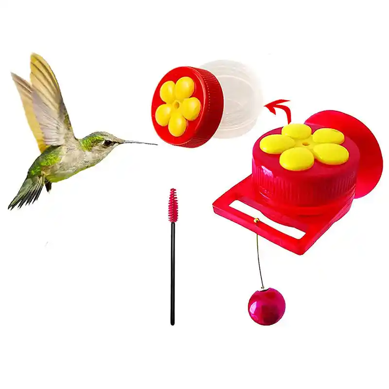 Nouvelles mangeoires à main pour colibris avec ventouse mini mangeoire  multifonctionnelle - SENEGAL ELECTROMENAGER