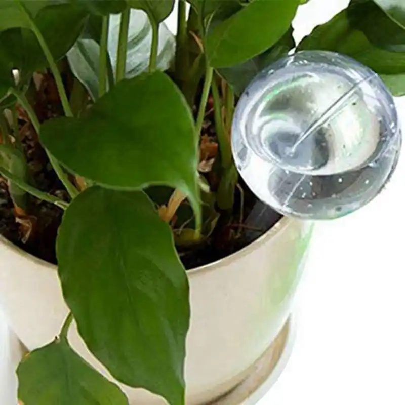 5 pièces dispositif d'arrosage automatique globes vacances plante